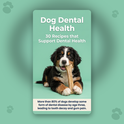 Dog Dental Health: 30 Recipes that Support Dental Health