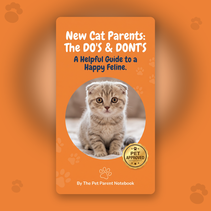 New Cat Parents: The DO'S & DONT'S