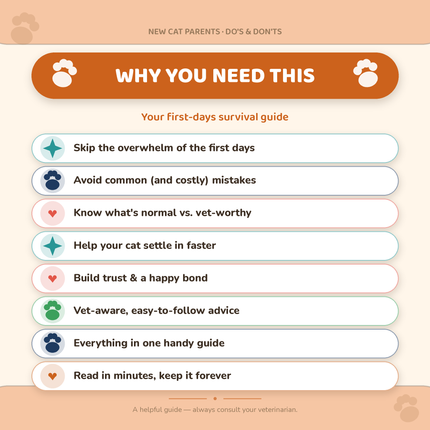 New Cat Parents: The DO'S & DONT'S