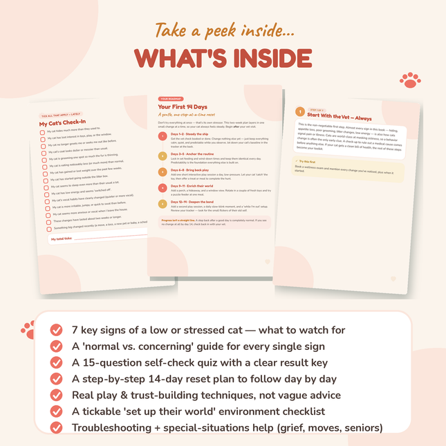 Does Your Cat Show Signs of Depression? | Signs, Self-Check Quiz & What to Do | Printable A5 PDF