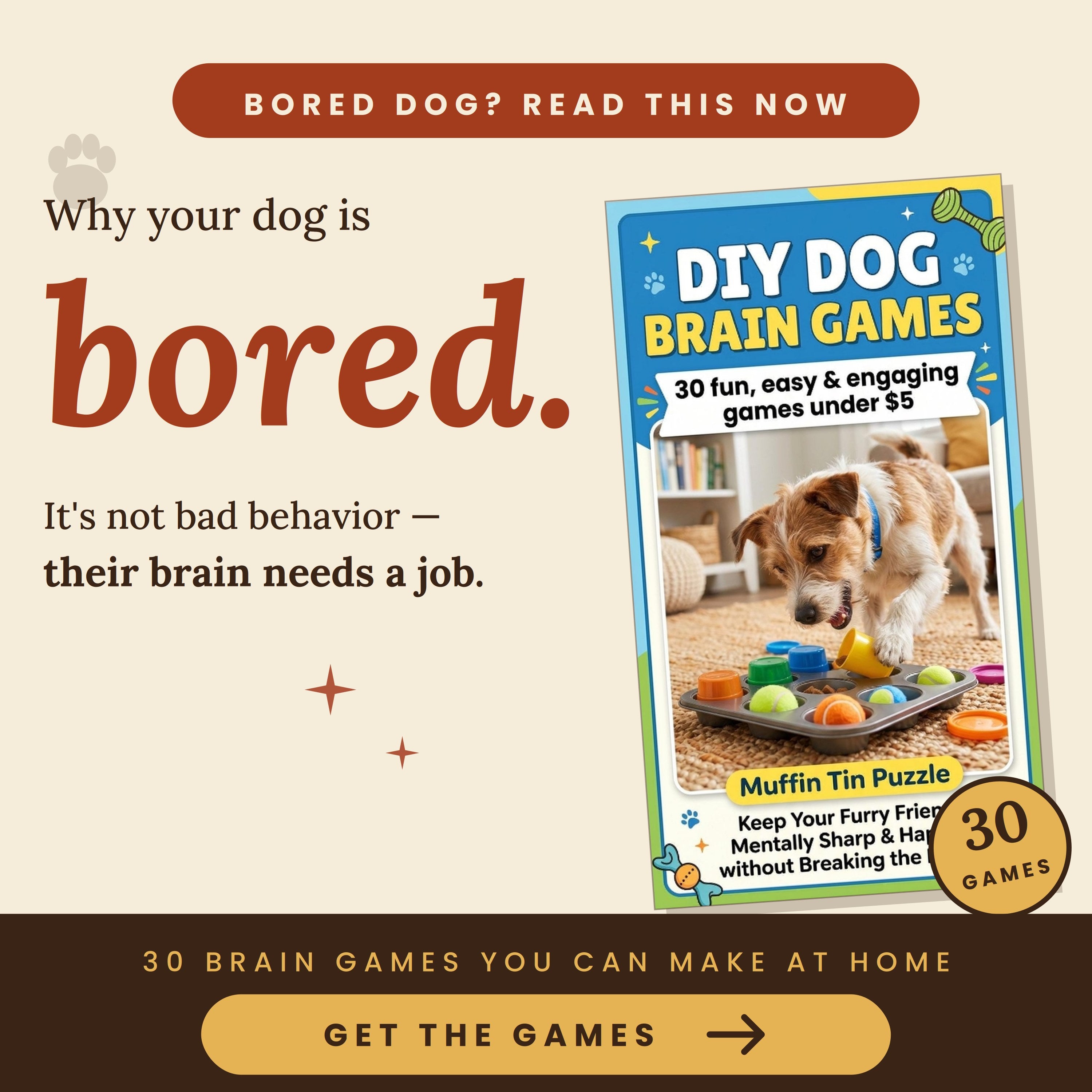 DIY Dog Brain Games🧠