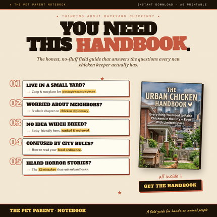 The Urban Chicken Handbook