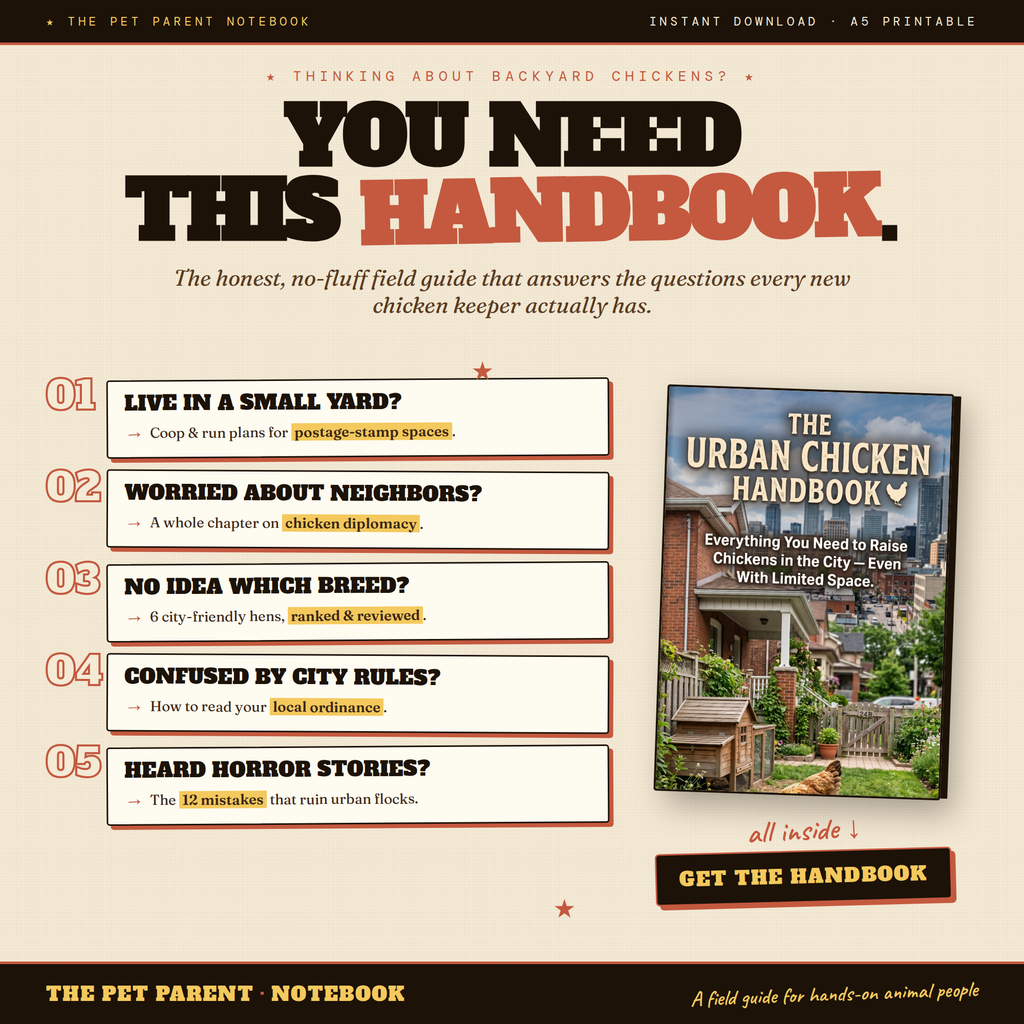 The Urban Chicken Handbook